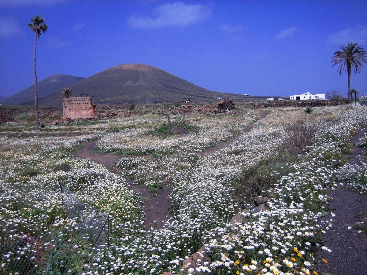 Castillo Lanzarote Villa Winni - Luxury Villa - Pet Friendly With Heated Pool La Asomada  외부 사진