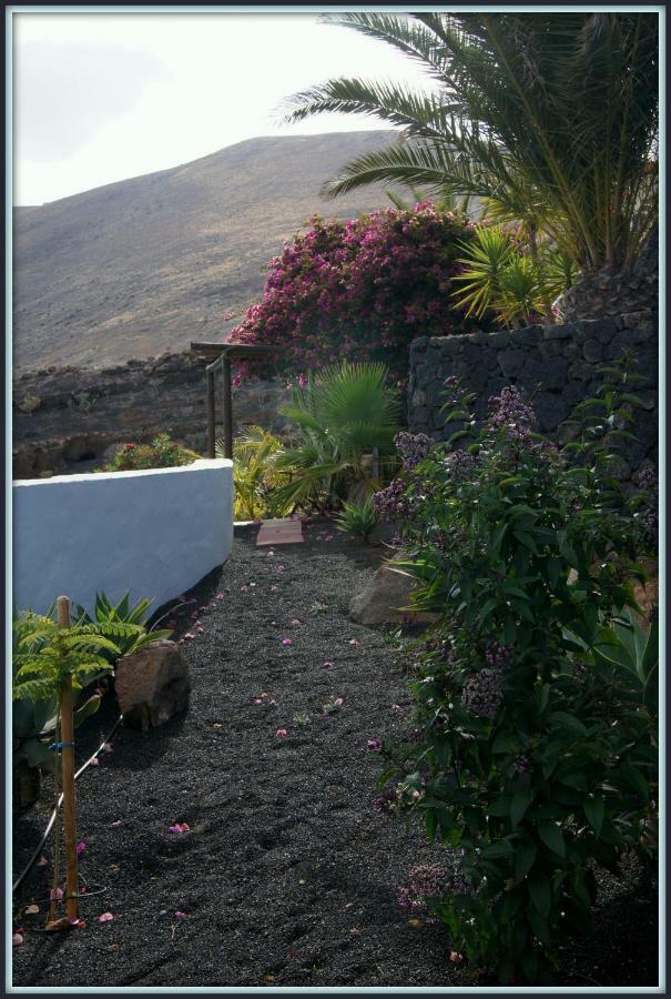 Castillo Lanzarote Villa Winni - Luxury Villa - Pet Friendly With Heated Pool La Asomada  외부 사진