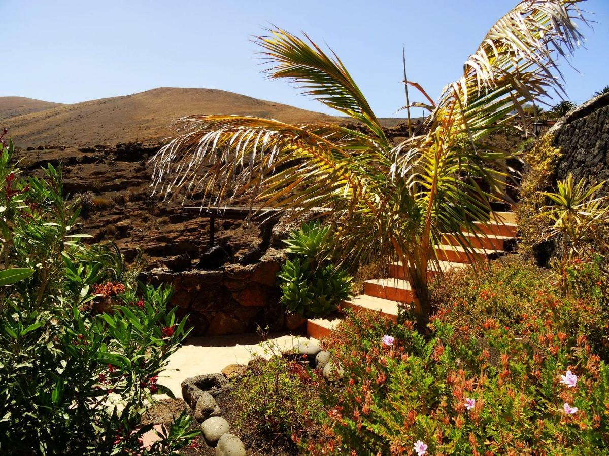 Castillo Lanzarote Villa Winni - Luxury Villa - Pet Friendly With Heated Pool La Asomada  외부 사진
